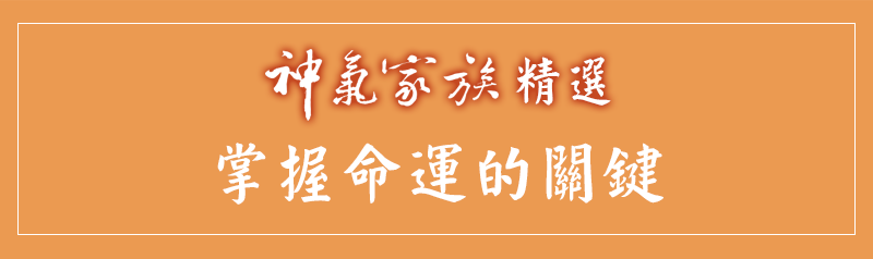 神氣家族